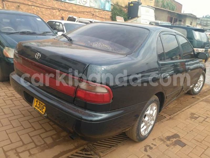 Big with watermark 30705011 1080215435450894 1812932972978896896 n