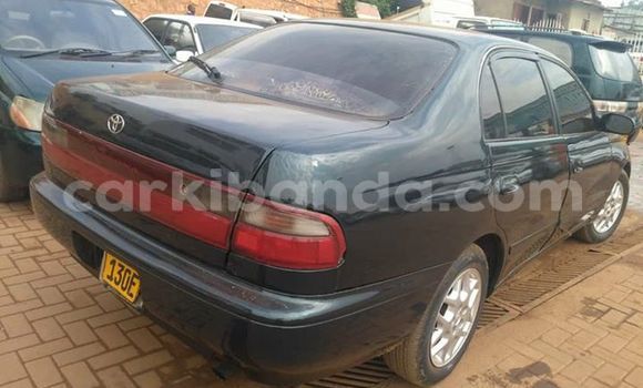 Gura Yakoze Toyota Carina Other Imodoka i Kampala mu Uganda Gura Yakoze Toyota Carina Other Imodoka i Kampala mu Uganda