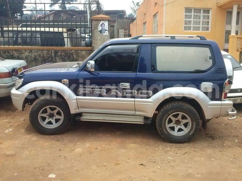 Big with watermark c81837104882 prd tx2