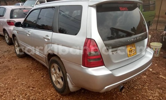Acheter Occasion Voiture Subaru Forester Gris à Kampala, Ouganda Acheter Occasion Voiture Subaru Forester Gris à Kampala, Ouganda
