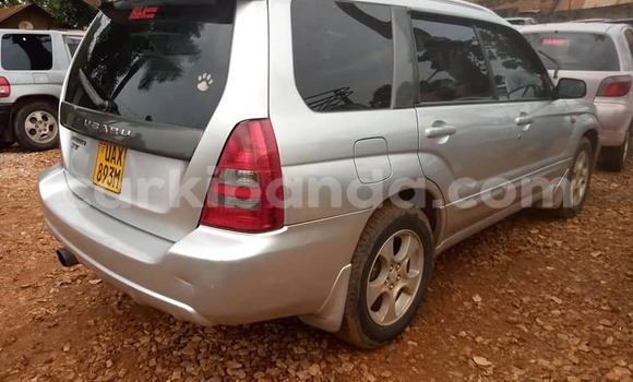 Acheter Occasion Voiture Subaru Forester Gris à Kampala, Ouganda Acheter Occasion Voiture Subaru Forester Gris à Kampala, Ouganda