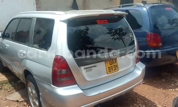 Acheter Occasion Voiture Subaru Forester Gris à Kampala, Ouganda Acheter Occasion Voiture Subaru Forester Gris à Kampala, Ouganda