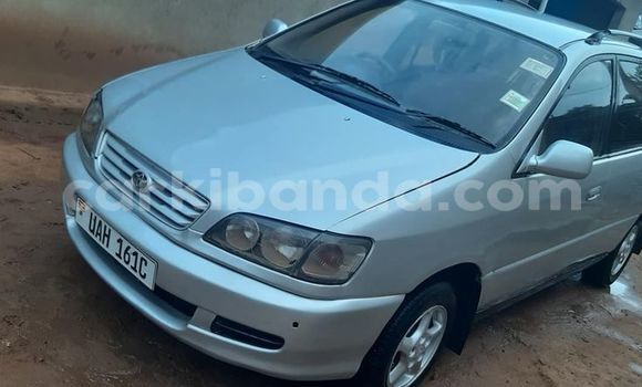 Buy Used Toyota Ipsum Silver Car in Kampala in Uganda Buy Used Toyota Ipsum Silver Car in Kampala in Uganda
