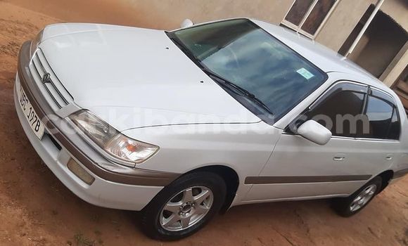 Buy Used Toyota Premio Silver Car in Kampala in Uganda Buy Used Toyota Premio Silver Car in Kampala in Uganda