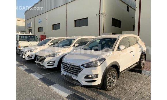 Acheter Import Voiture Hyundai Tucson Blanc à Import - Dubai, Ouganda Acheter Import Voiture Hyundai Tucson Blanc à Import - Dubai, Ouganda