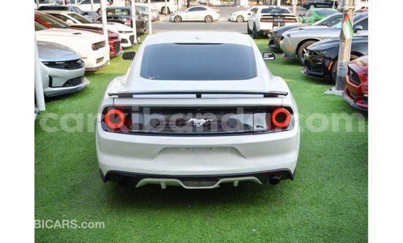 Gura Imported Ford Mustang White Imodoka i Import - Dubai mu Uganda Gura Imported Ford Mustang White Imodoka i Import - Dubai mu Uganda