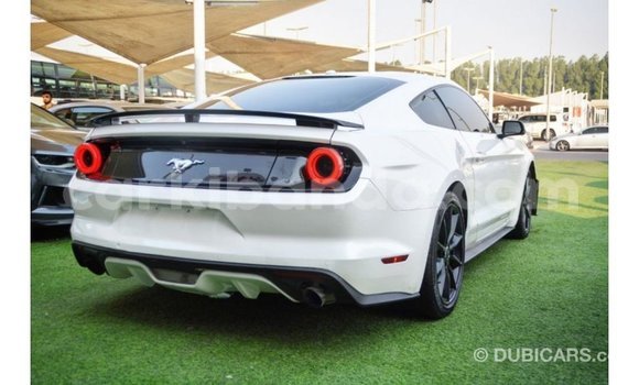Gura Imported Ford Mustang White Imodoka i Import - Dubai mu Uganda Gura Imported Ford Mustang White Imodoka i Import - Dubai mu Uganda