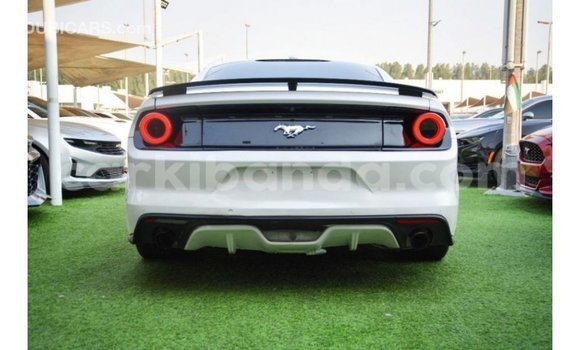 Gura Imported Ford Mustang White Imodoka i Import - Dubai mu Uganda Gura Imported Ford Mustang White Imodoka i Import - Dubai mu Uganda