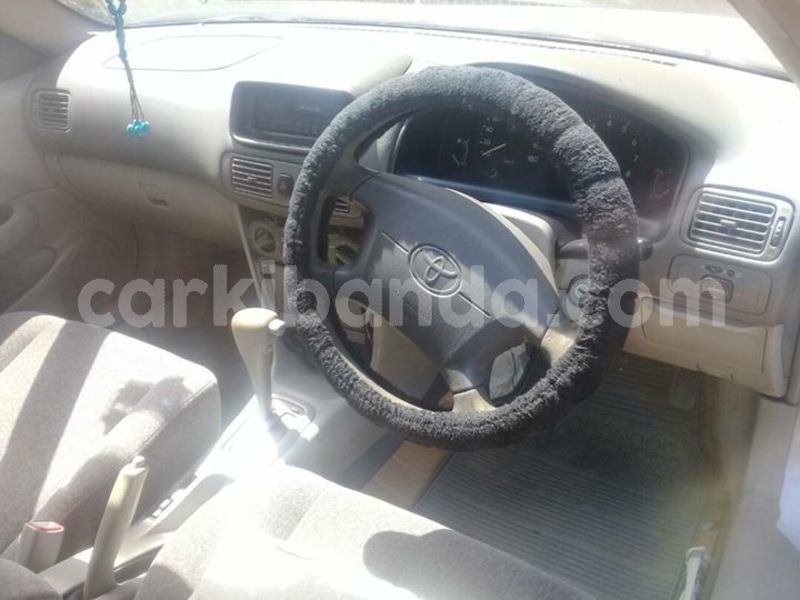 Big with watermark 30629329 194112211393369 244064733525704704 n