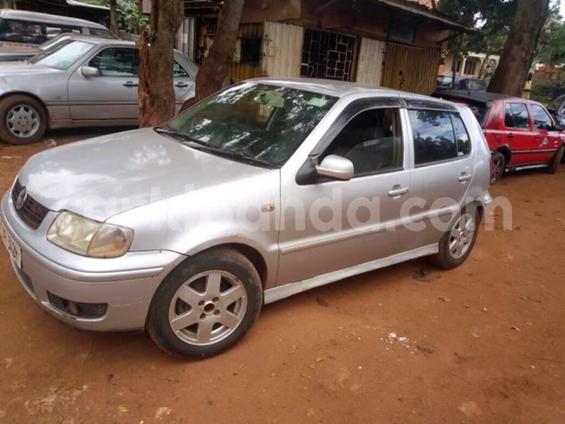 Big with watermark 30629329 194112211393369 244064733525704704 n