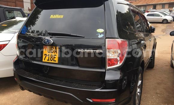 Gura Yakoze Subaru Forester Black Imodoka i Kampala mu Uganda Gura Yakoze Subaru Forester Black Imodoka i Kampala mu Uganda