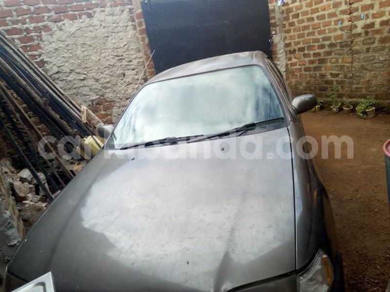 Big with watermark 30629329 194112211393369 244064733525704704 n