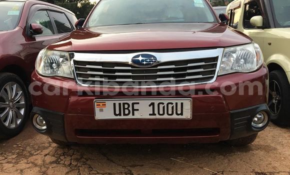Gura Yakoze Subaru Forester Red Imodoka i Kampala mu Uganda