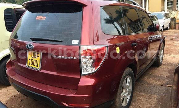 Gura Yakoze Subaru Forester Red Imodoka i Kampala mu Uganda Gura Yakoze Subaru Forester Red Imodoka i Kampala mu Uganda