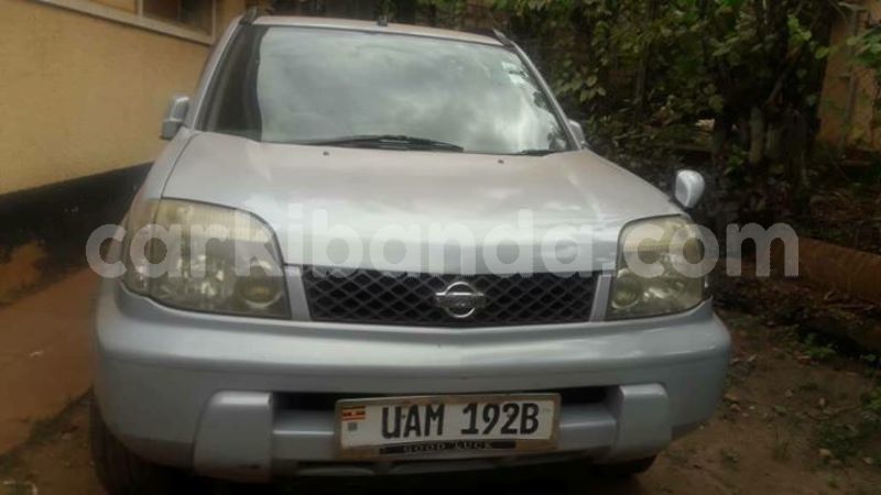 Big with watermark 30623955 578122035882356 6857030771144654848 n