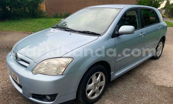 Buy Used Toyota Runx Blue Car in Kampala in Uganda