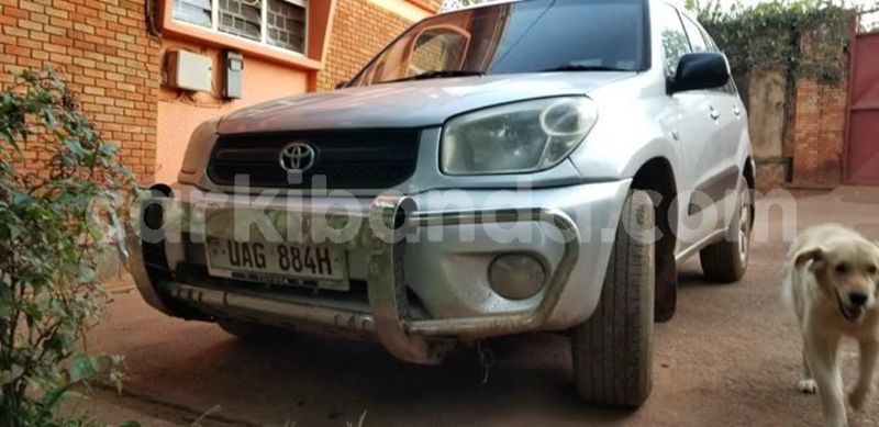 Big with watermark 30629329 194112211393369 244064733525704704 n