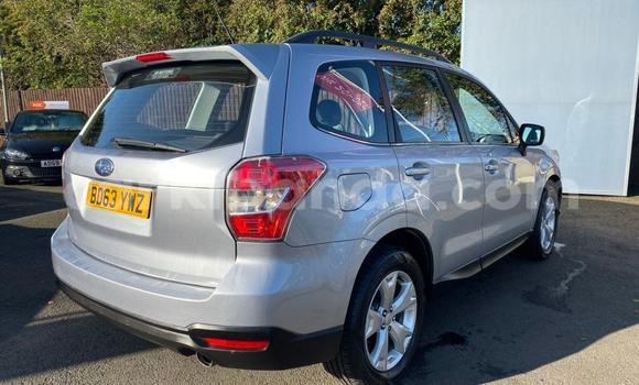 Nunua Ilio tumika Subaru Forester Nyingine Gari ndani ya Kampala nchini Uganda Nunua Ilio tumika Subaru Forester Nyingine Gari ndani ya Kampala nchini Uganda