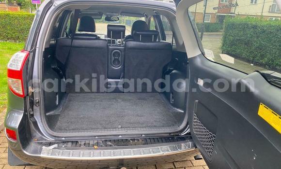Buy Used Toyota RAV4 Beige Car in Kampala in Uganda Buy Used Toyota RAV4 Beige Car in Kampala in Uganda