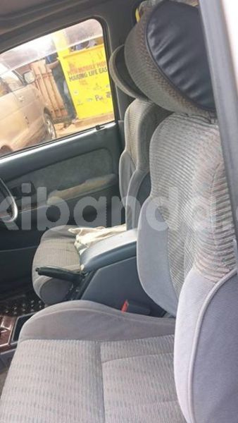 Big with watermark 30629329 194112211393369 244064733525704704 n