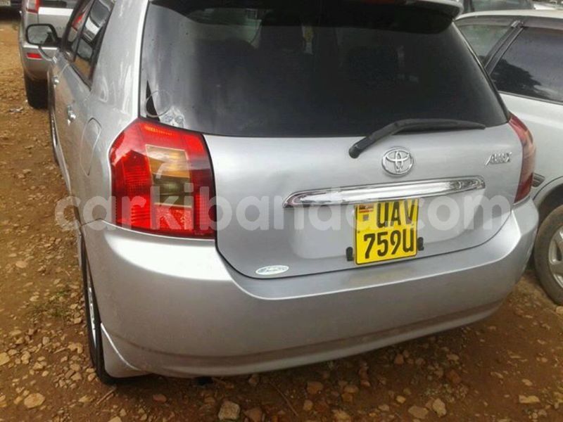 Big with watermark 30629329 194112211393369 244064733525704704 n