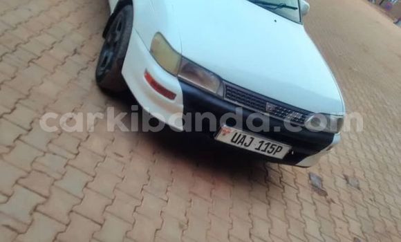 Gura Yakoze Toyota Corolla White Imodoka i Adjumani mu Northern