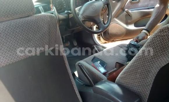 Acheter Occasion Voiture Toyota Corolla Blanc à Adjumani, Nord Acheter Occasion Voiture Toyota Corolla Blanc à Adjumani, Nord