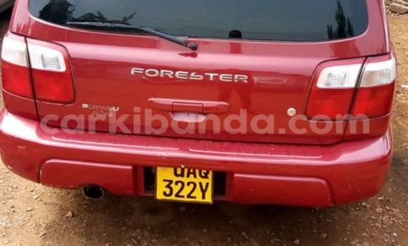 Acheter Occasion Voiture Subaru Forester Rouge à Adjumani, Nord Acheter Occasion Voiture Subaru Forester Rouge à Adjumani, Nord