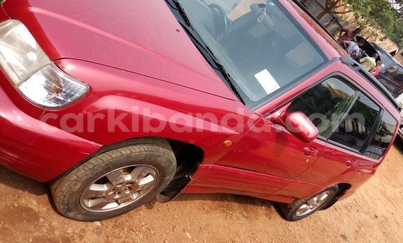Acheter Occasion Voiture Subaru Forester Rouge à Adjumani, Nord Acheter Occasion Voiture Subaru Forester Rouge à Adjumani, Nord