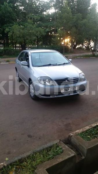 Big with watermark 30623955 578122035882356 6857030771144654848 n