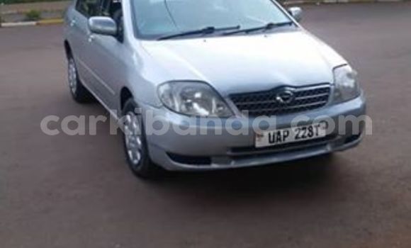 Nunua Ilio tumika Toyota Corolla Nyingine Gari ndani ya Kampala nchini Uganda Nunua Ilio tumika Toyota Corolla Nyingine Gari ndani ya Kampala nchini Uganda