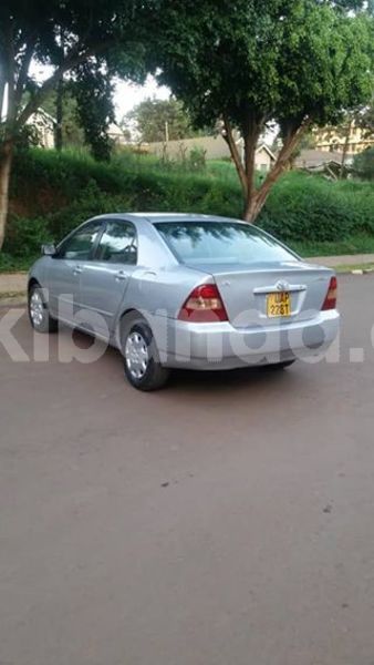 Big with watermark 30629329 194112211393369 244064733525704704 n