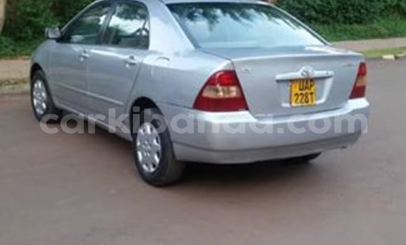 Nunua Ilio tumika Toyota Corolla Nyingine Gari ndani ya Kampala nchini Uganda Nunua Ilio tumika Toyota Corolla Nyingine Gari ndani ya Kampala nchini Uganda