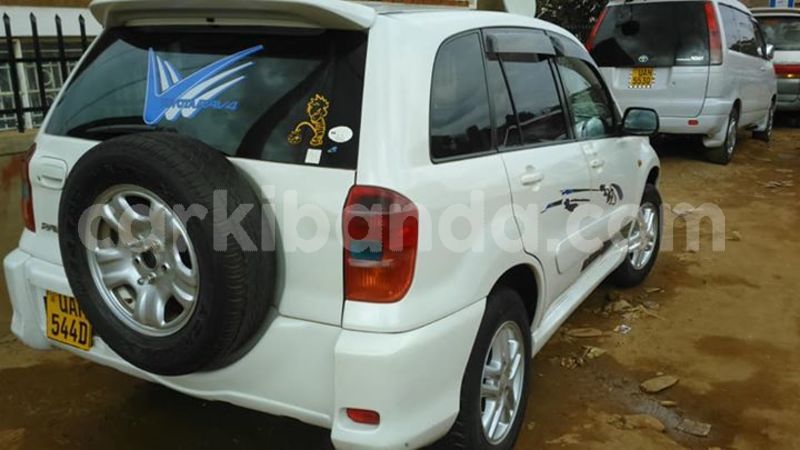 Big with watermark 30623955 578122035882356 6857030771144654848 n