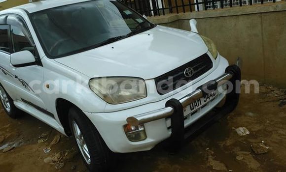Buy Used Toyota RAV4 White Car in Kampala in Uganda Buy Used Toyota RAV4 White Car in Kampala in Uganda