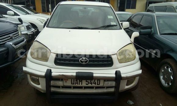Nunua Ilio tumika Toyota RAV4 Nyeupe Gari ndani ya Kampala nchini Uganda Nunua Ilio tumika Toyota RAV4 Nyeupe Gari ndani ya Kampala nchini Uganda