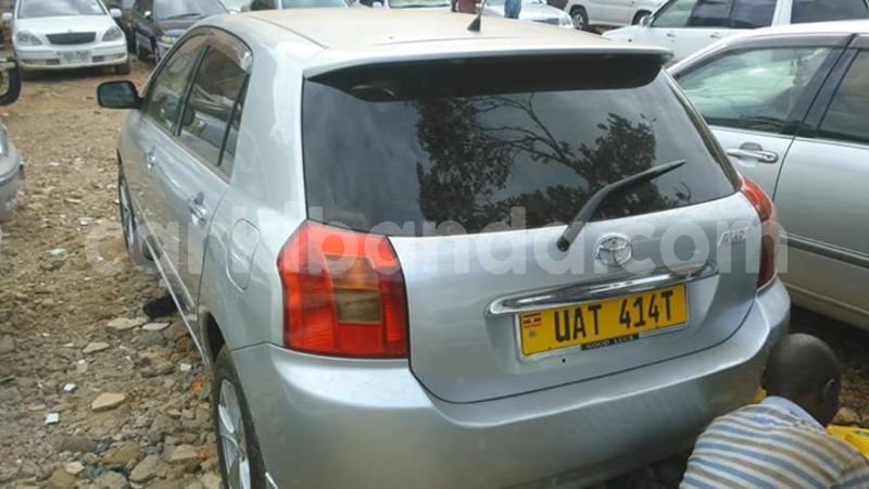 Big with watermark 30623955 578122035882356 6857030771144654848 n