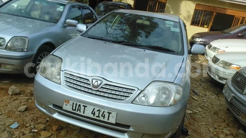 Big with watermark 30629329 194112211393369 244064733525704704 n