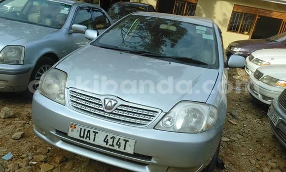 Buy Used Toyota Allex Silver Car in Kampala in Uganda Buy Used Toyota Allex Silver Car in Kampala in Uganda