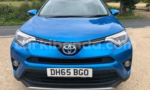 Buy Used Toyota RAV4 Blue Car in Kampala in Uganda Buy Used Toyota RAV4 Blue Car in Kampala in Uganda