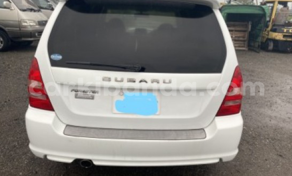 Gura Yakoze Subaru Forester White Imodoka i Kampala mu Uganda Gura Yakoze Subaru Forester White Imodoka i Kampala mu Uganda