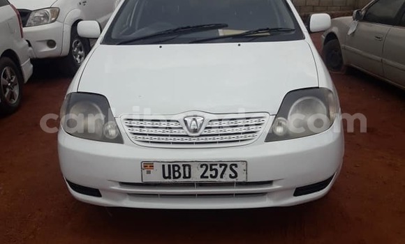Nunua Ilio tumika Toyota Allex Nyeupe Gari ndani ya Kampala nchini Uganda