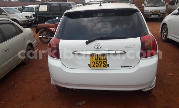 Buy Used Toyota Allex White Car in Kampala in Uganda Buy Used Toyota Allex White Car in Kampala in Uganda