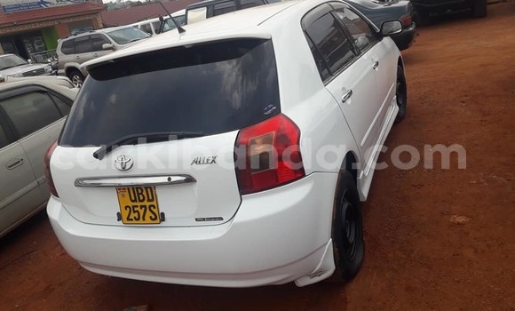 Buy Used Toyota Allex White Car in Kampala in Uganda Buy Used Toyota Allex White Car in Kampala in Uganda