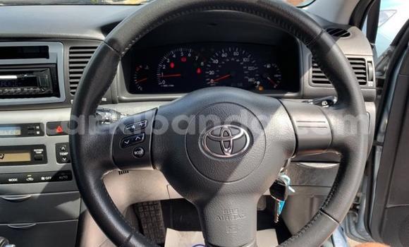 Buy Used Toyota Runx Other Car in Kampala in Uganda Buy Used Toyota Runx Other Car in Kampala in Uganda