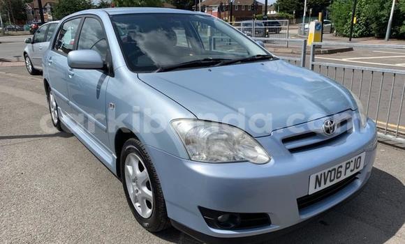 Buy Used Toyota Corolla Other Car in Kampala in Uganda