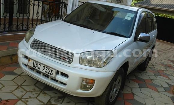 Buy Used Toyota RAV4 White Car in Kampala in Uganda Buy Used Toyota RAV4 White Car in Kampala in Uganda
