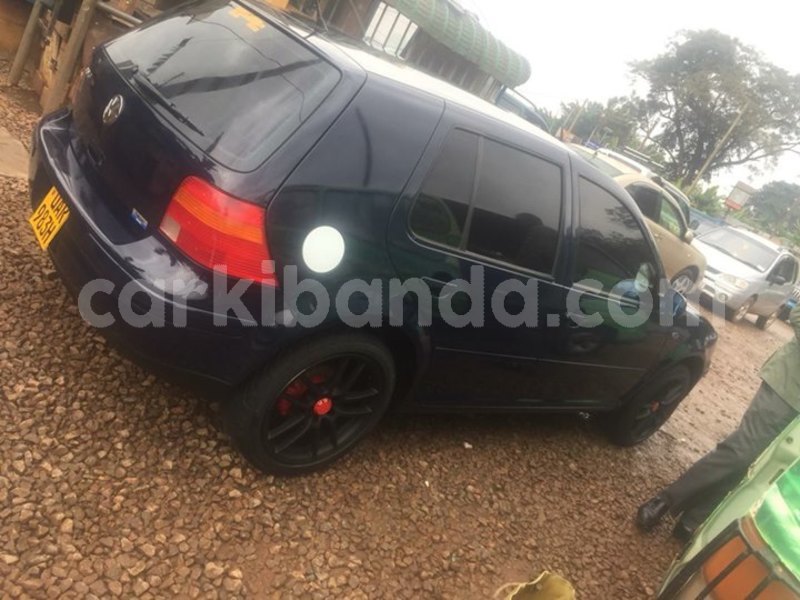 Big with watermark 30623955 578122035882356 6857030771144654848 n