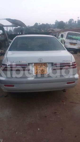 Big with watermark 30623955 578122035882356 6857030771144654848 n