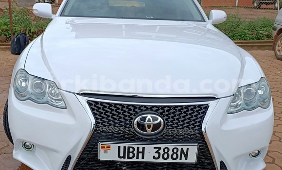 Nunua Ilio tumika Toyota Mark X Nyeupe Gari ndani ya Kampala nchini Uganda